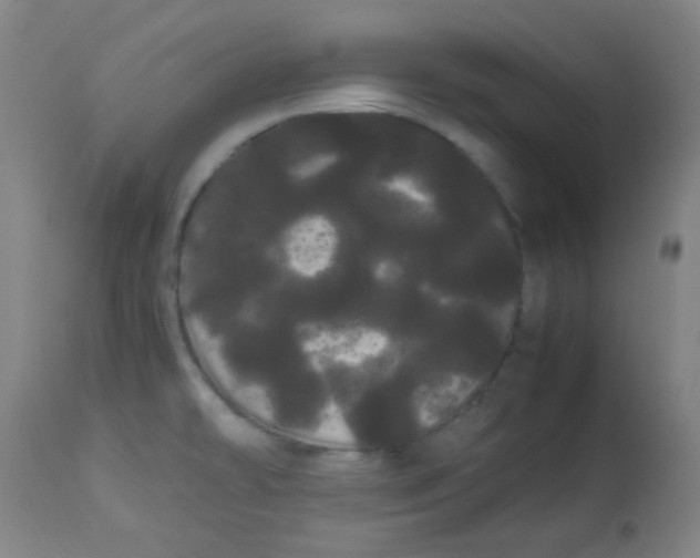 X0000113621478200910091519