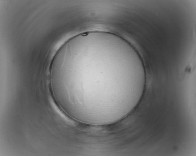 X0000113621479200910091519