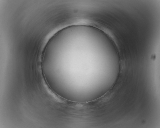 X0000113621480200910091519