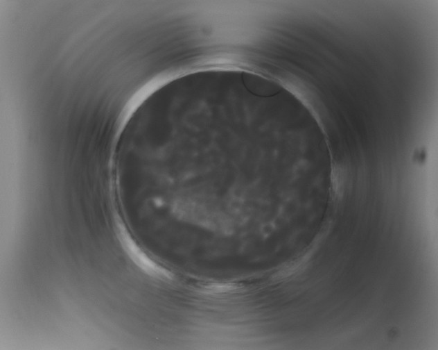 X0000113621482200910091519