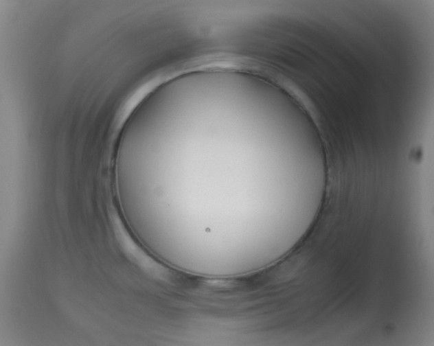 X0000113621483200910091519