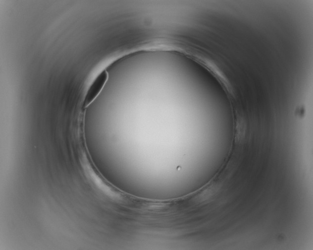 X0000113621484200910091519