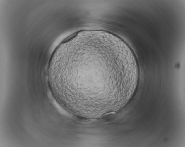 X0000113621485200910091519