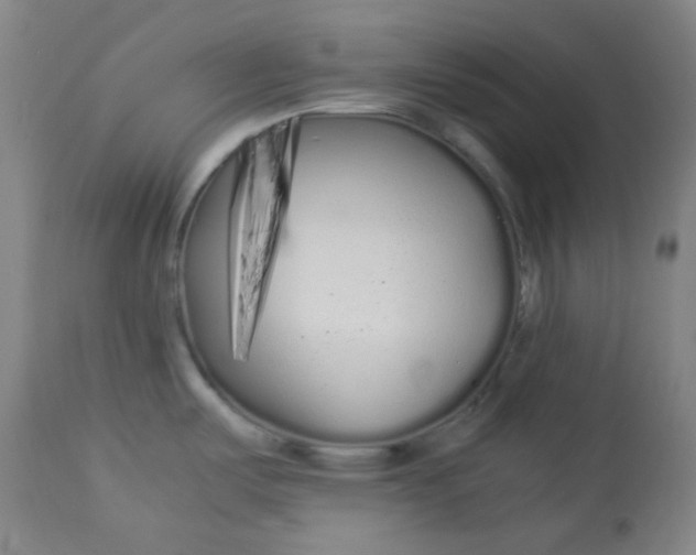 X0000113621487200910091519