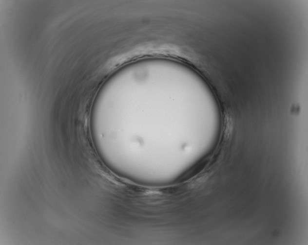 X0000113621489200910091518