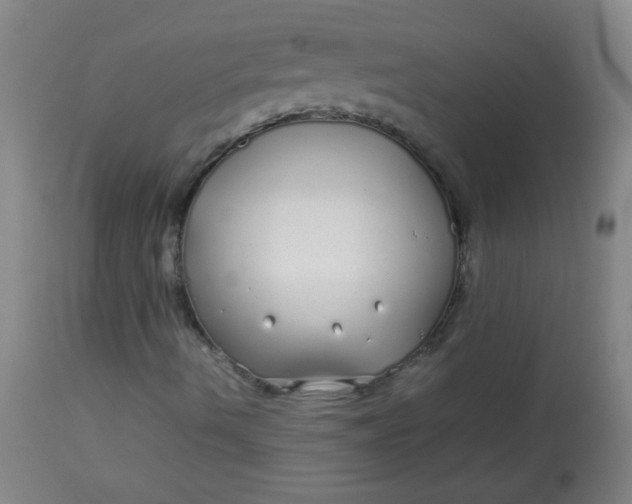 X0000113621490200910091518