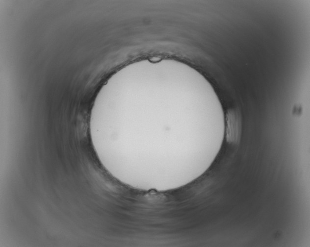 X0000113621491200910091518