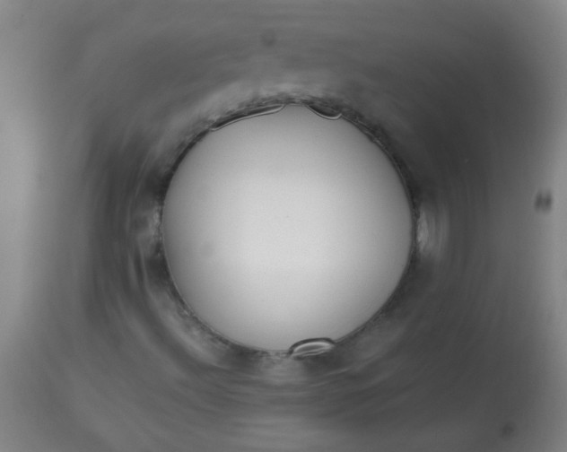 X0000113621492200910091518