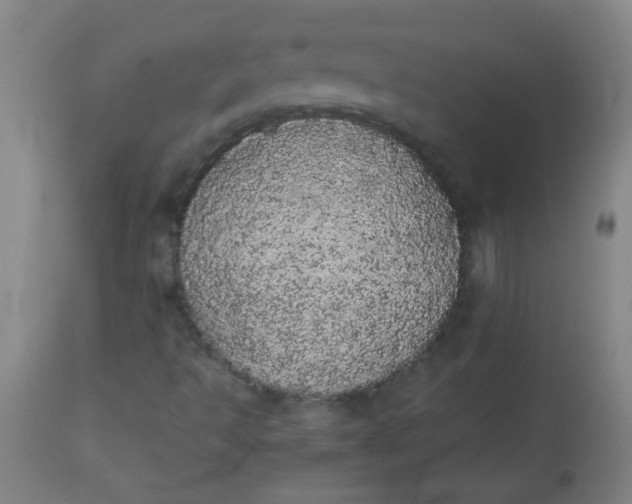 X0000113621493200910091518