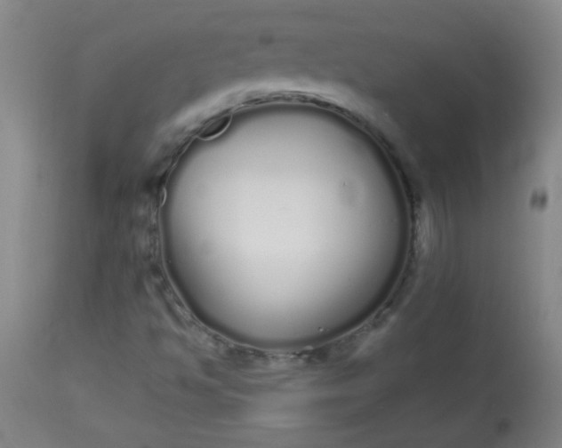 X0000113621494200910091518