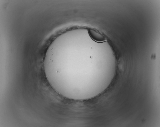 X0000113621495200910091518