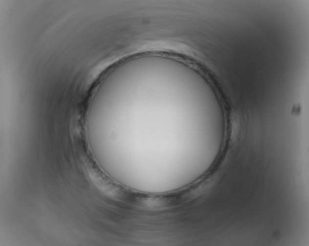 X0000113621497200910091518