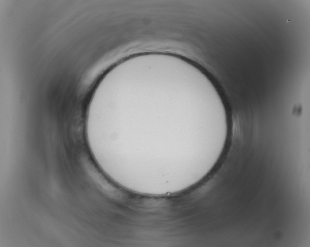 X0000113621498200910091518