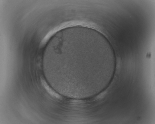 X0000113621499200910091518