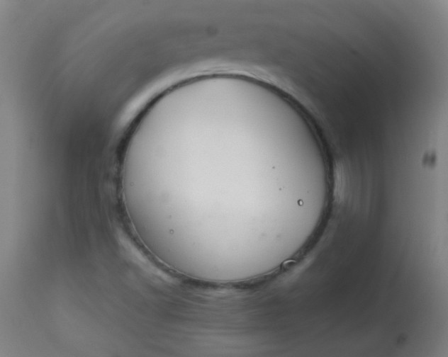 X0000113621502200910091518