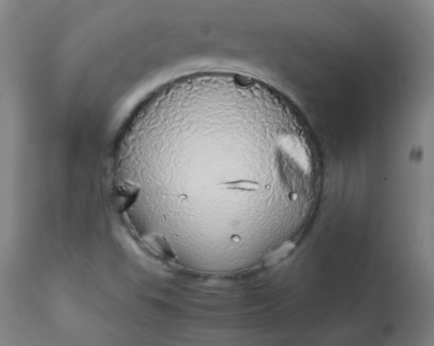 X0000113621503200910091519