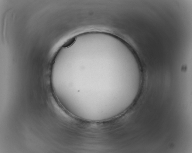 X0000113621504200910091519