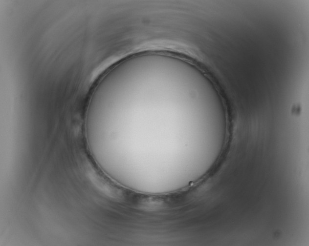 X0000113621505200910091519