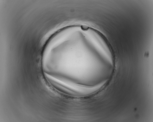 X0000113621507200910091519