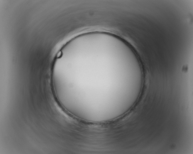 X0000113621508200910091519