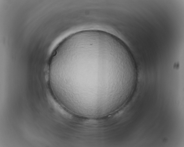 X0000113621510200910091519