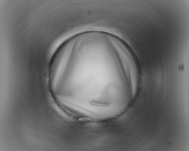 X0000113621511200910091519