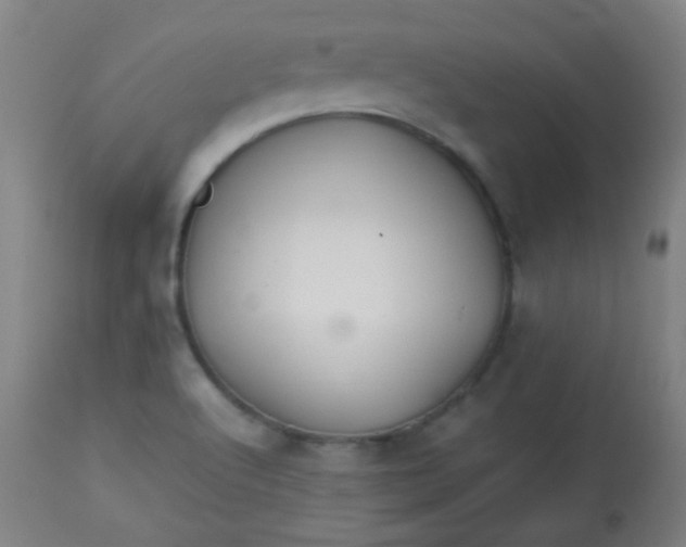 X0000113621512200910091519