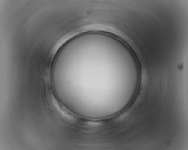 X0000113621513200910091519