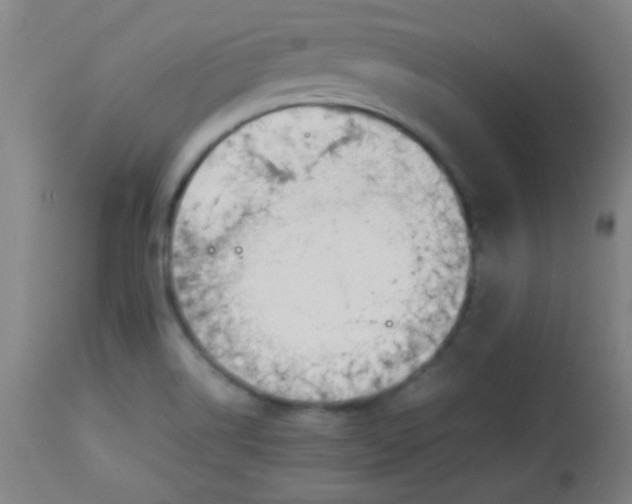 X0000113621514200910091519