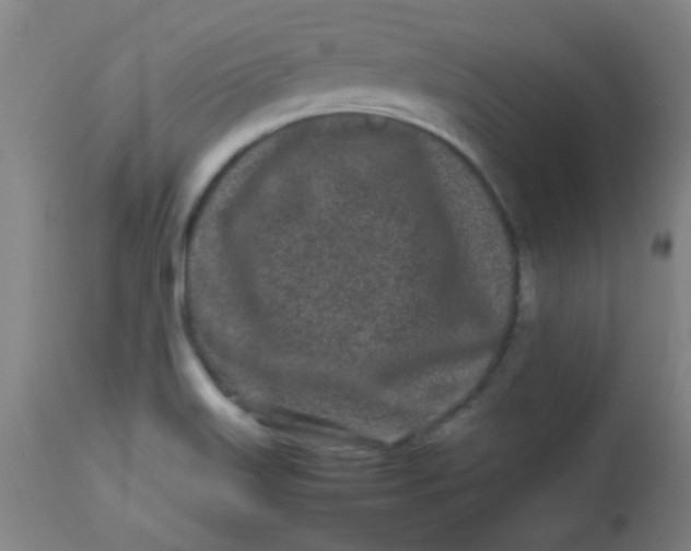 X0000113621515200910091519