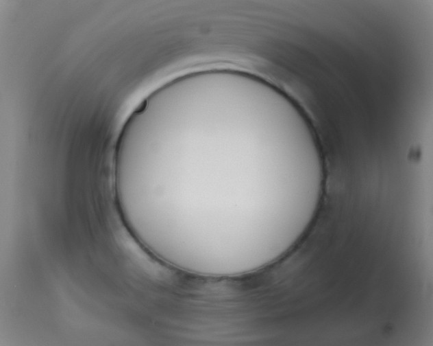 X0000113621516200910091519