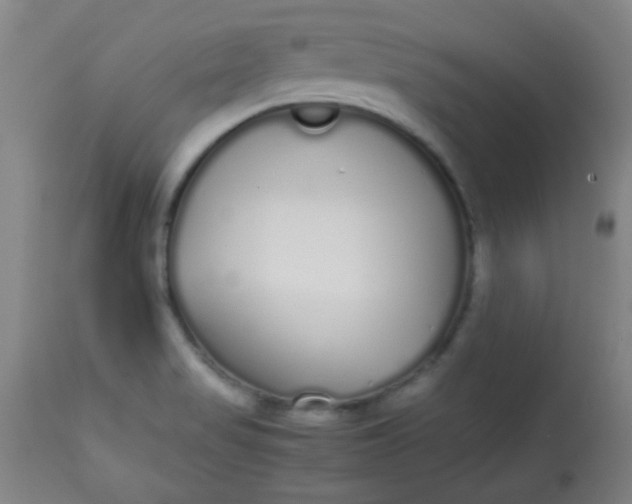 X0000113621517200910091519