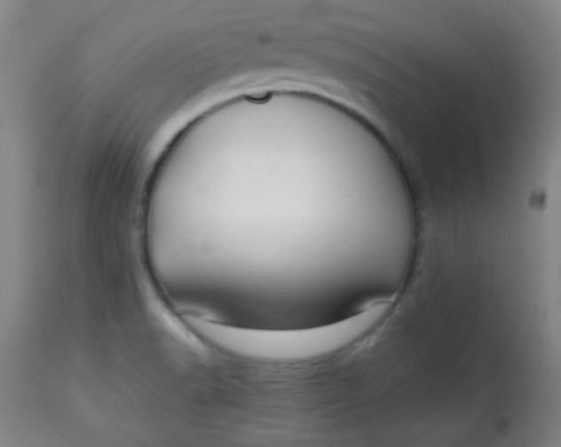 X0000113621518200910091519