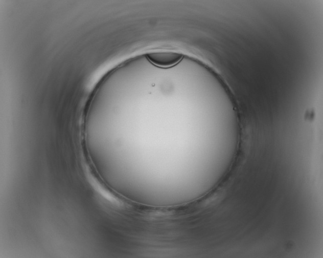 X0000113621519200910091519