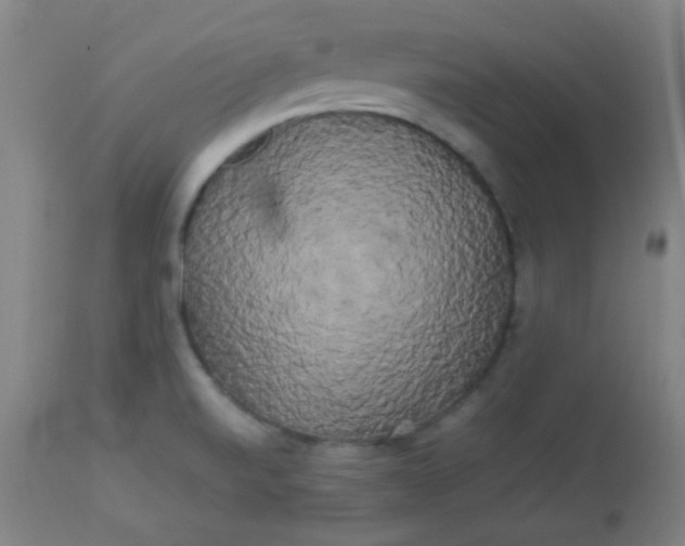 X0000113621520200910091519