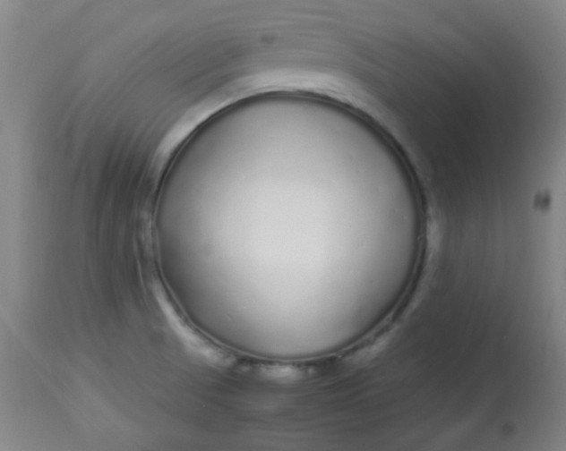 X0000113621521200910091519