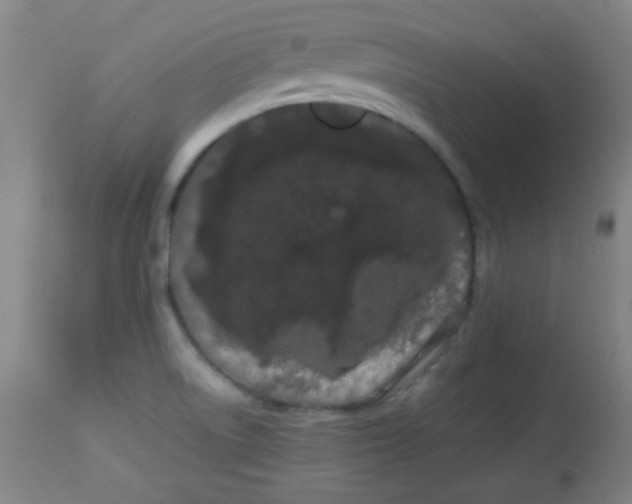 X0000113621522200910091519