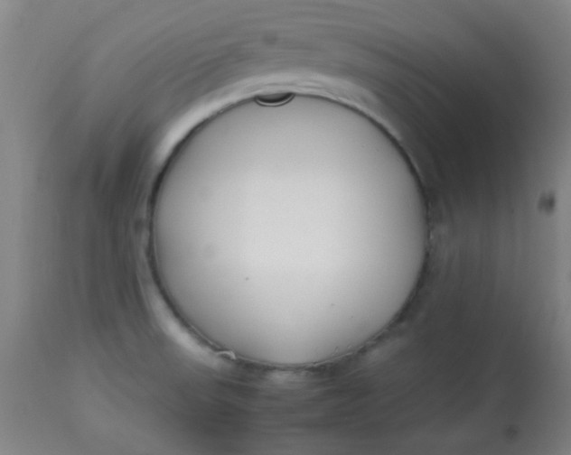 X0000113621523200910091519