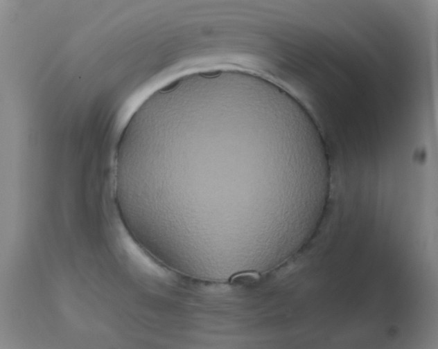 X0000113621524200910091519