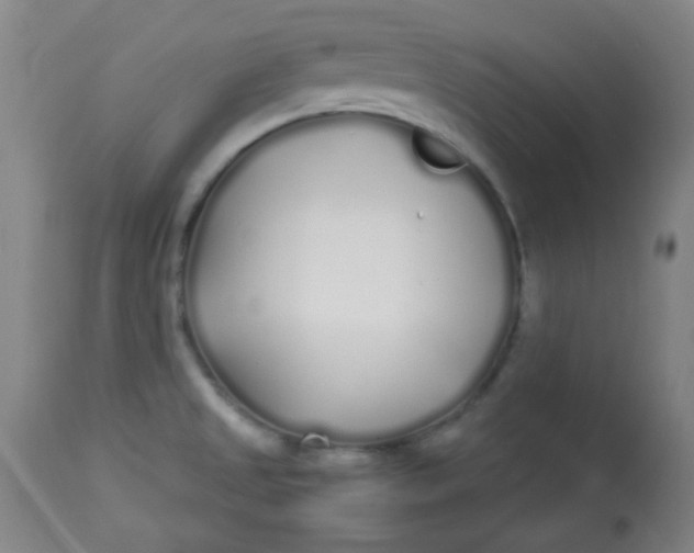 X0000113621525200910091519