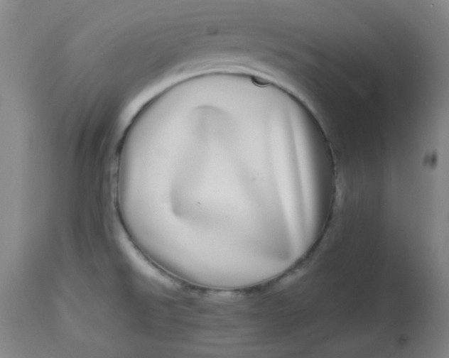 X0000113621526200910091519