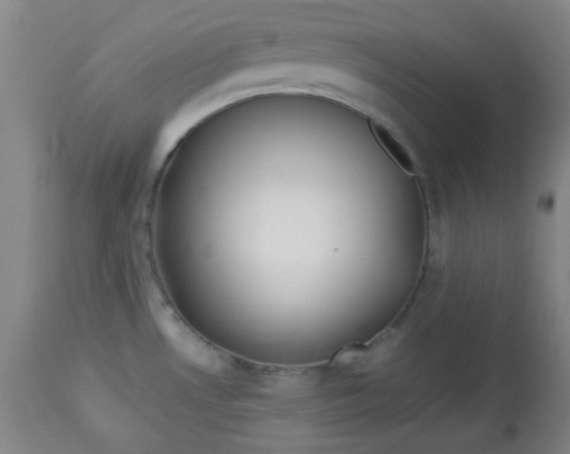 X0000113621530200910091519