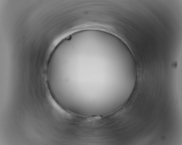 X0000113621531200910091519