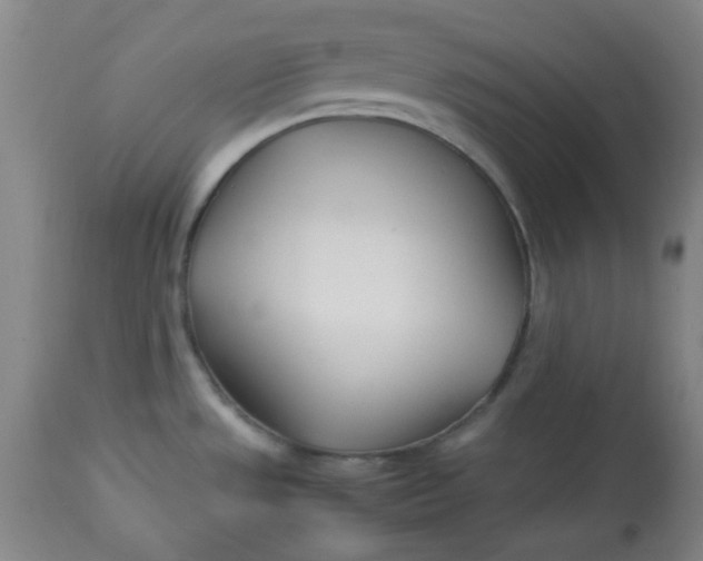 X0000113621533200910091519