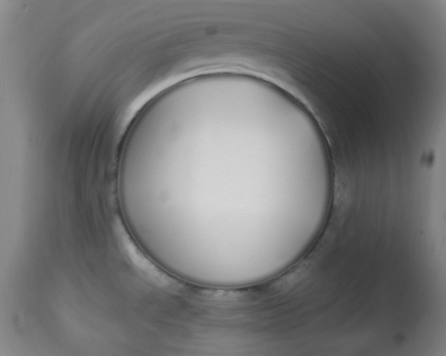 X0000113621534200910091519