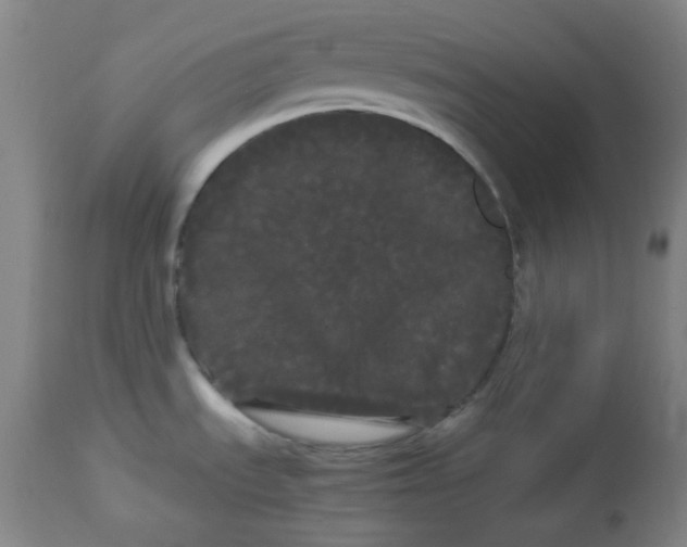 X0000113621535200910091519