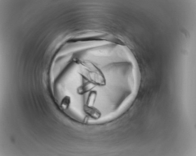 X0000113620002200910162003