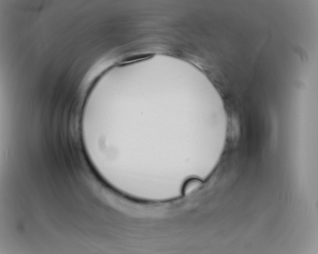 X0000113620004200910162003