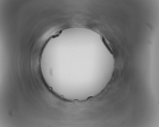 X0000113620005200910162003