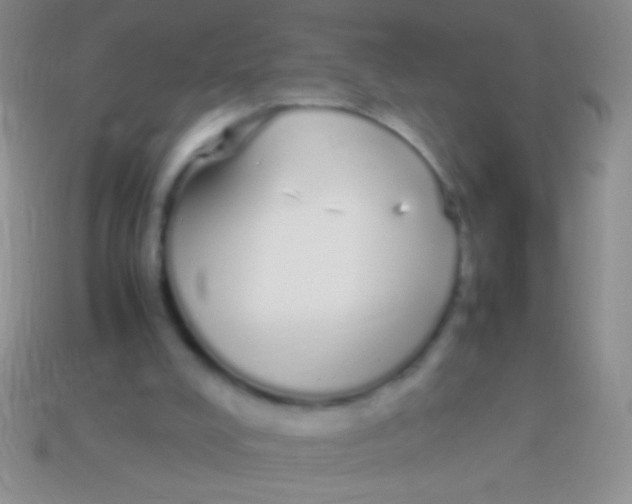 X0000113620008200910162003